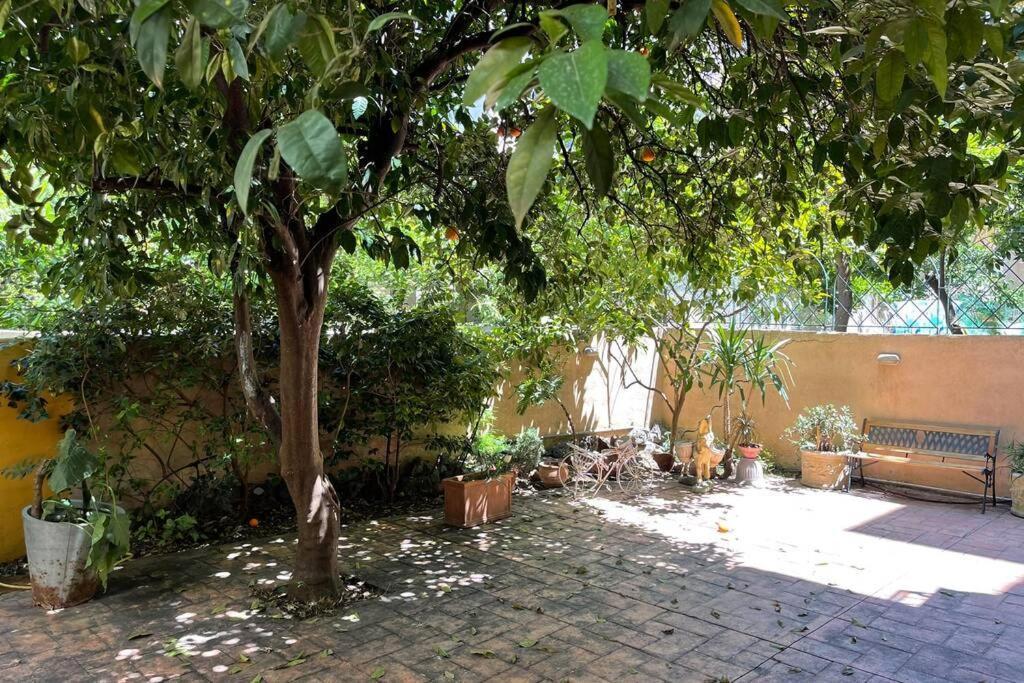 Attic Studio Stay Kalamata Zewnętrze zdjęcie
